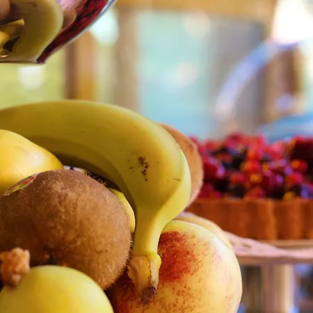 Il Giardino Di Albaro Janov