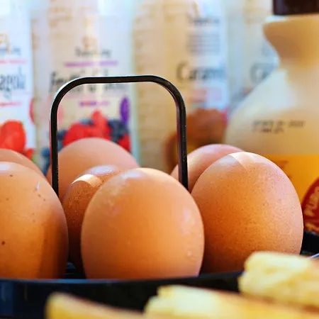 Il Giardino Di Albaro Genua