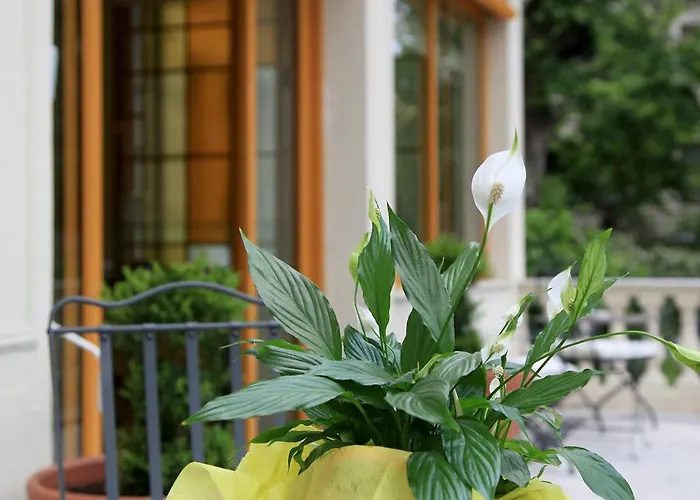 Il Giardino Di Albaro Genua